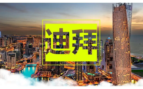 揭秘迪拜离岸公司注册：从选择业务结构到开立银行账户的全程指南！