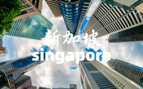 新加坡个人账户向公司账户付款【最全攻略】：流程详解、方式对比及注意事项
