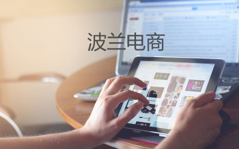 2025年波兰电商市场【最全攻略】，加密货币牌照申请也有机会，怎么入局？