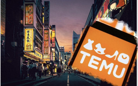 2025年TEMU“本本店”战略【深度解析】：在日墨开公司、做电商的必看指南！