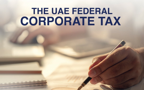 2025年阿联酋企业税【最全解析】：税率、免税政策及注册流程