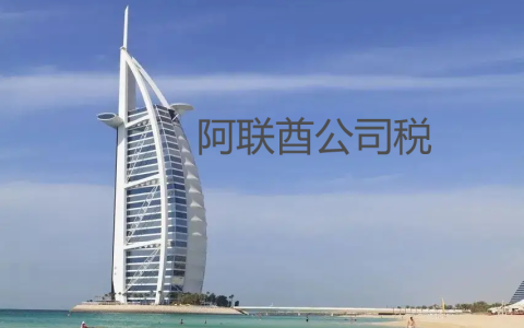2025年阿联酋公司税注册【最全攻略】！EmaraTax平台操作指南来啦！