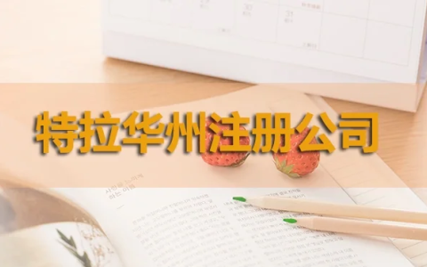 2025年特拉华州公司注册：别被“免税”光环迷惑了双眼！