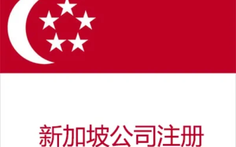 2025年新加坡公司【注册与维护】全攻略：注册、开户、年审报税一站式深度解析