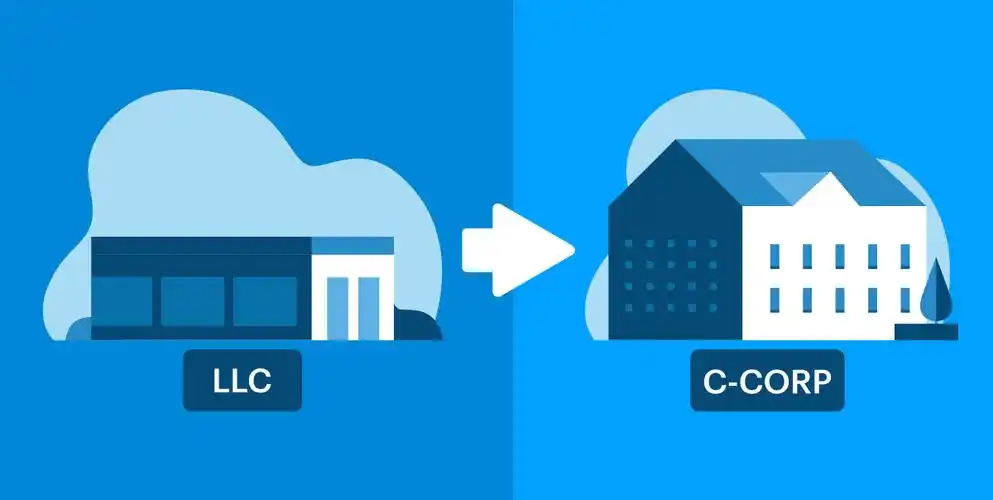 美国跨境电商公司类型【终极指南】：LLC与C Corp全方位对比+避坑攻略