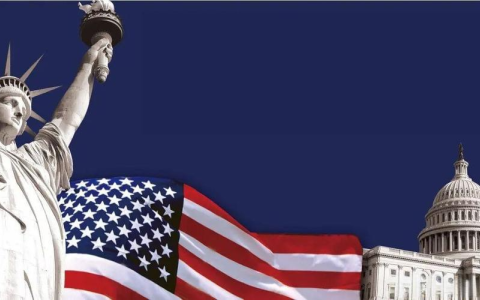 美国跨境电商公司类型【终极指南】：LLC与C Corp全方位对比+避坑攻略