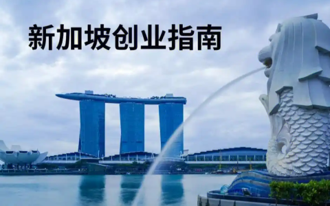 2025 新加坡创业【最全指南】：潜力行业+政策支持+注册流程全解析