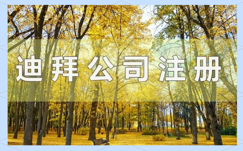 【权威指南】：2025年迪拜公司注册全流程，一站式为你解读！