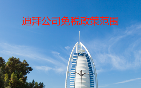 2025年中东商业新风口：迪拜免税政策适用范围【最全解析】，把握投资良机！