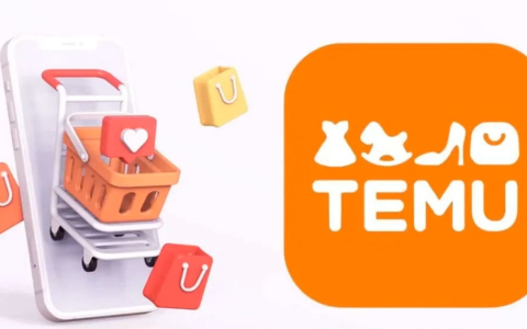 德国公司注册+Temu欧洲站：2025年中国卖家【破局欧洲的王炸组合】？