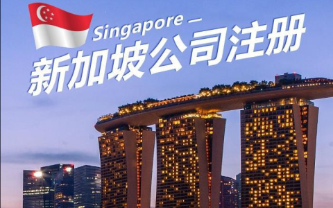 【深度剖析】2025年新加坡公司注册全流程及费用明细，创业者必看！
