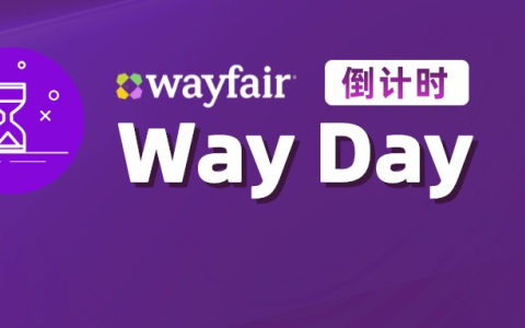 Way Day 2025 火热开启，中国卖家通过美国公司注册抢占市场先机的秘诀