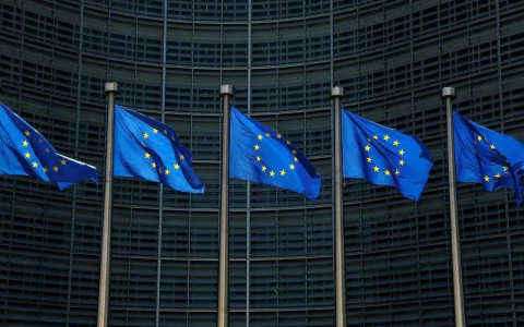 不懂合规，别碰欧洲市场！VAT/EORI/EPR全解析与避坑指南（2025）