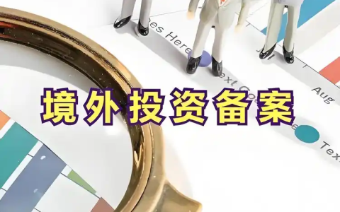 2025年境外投资指南——ODI、FDI、QDII、QDLP、QDIE【最全解析】