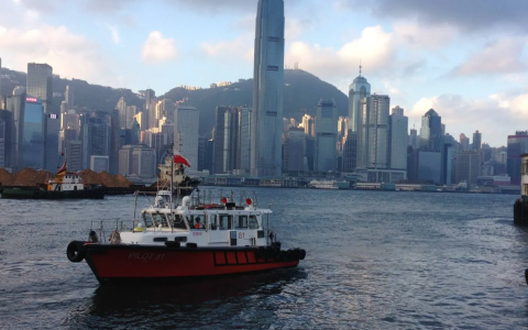 2025全球离岸架构最强指南：中国卖家如何选对BVI、开曼、香港、新加坡等控股方案？