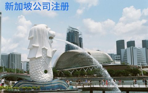 2025年最新新加坡公司注册全攻略：从股权架构设计到税务合规的【避坑路线图】