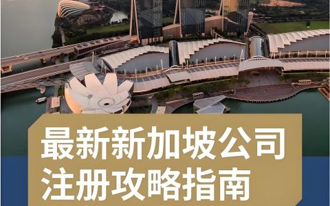 2025年个人如何注册新加坡公司【最详攻略】？从条件、流程到后续合规