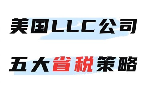 2025美国LLC公司如何报税最省钱？独资、合伙、C-Corp与S-Corp全面解析！