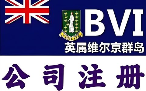 【史上最全】BVI公司注册与税务规划教程：注册流程+税务优化实操指南