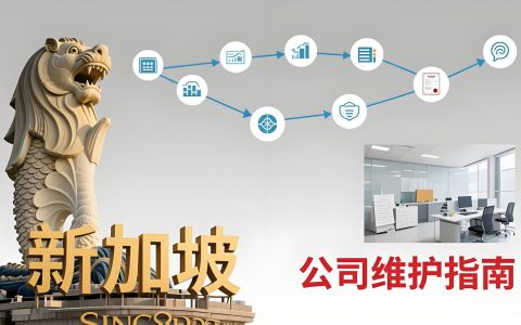 干货分享|2025新加坡公司维护指南：年审、报税、财务合规一次讲清