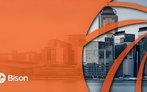 贝森银行进出账变慢真相曝光：系统升级还是收紧政策？中国卖家如何应对资金风险