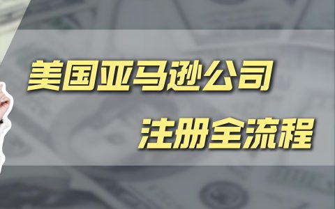 2025年中国卖家掘金亚马逊美国站：注册美国公司全攻略与入驻优势