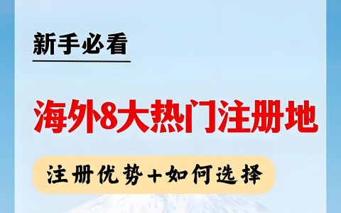 2025年海外公司注册地终极对决：香港、新加坡与美国优劣