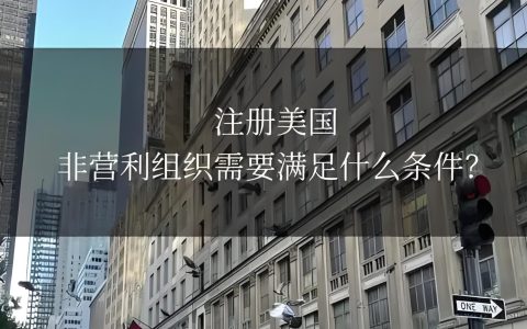 2025美国非营利组织注册流程与合规指南【最新政策+税务豁免】