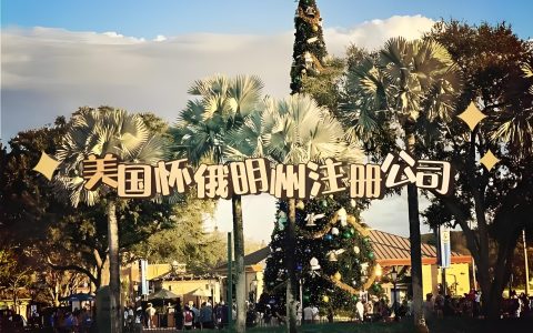 2025怀俄明州公司注册全攻略＋水星银行开户指南，快速合规一站式完成