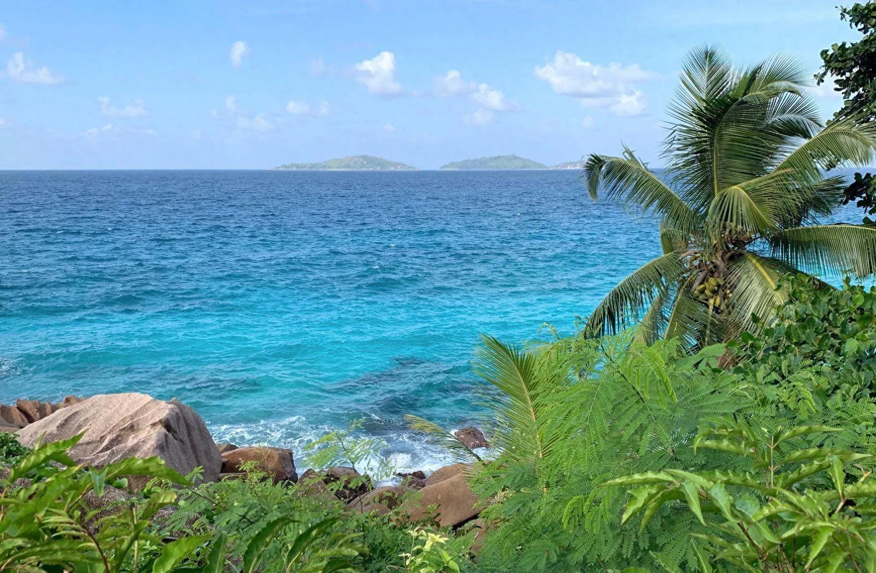 塞舌尔公司注册：合法避税90%，3周完成国际资本布局- ingstart-全球公司成立与合规