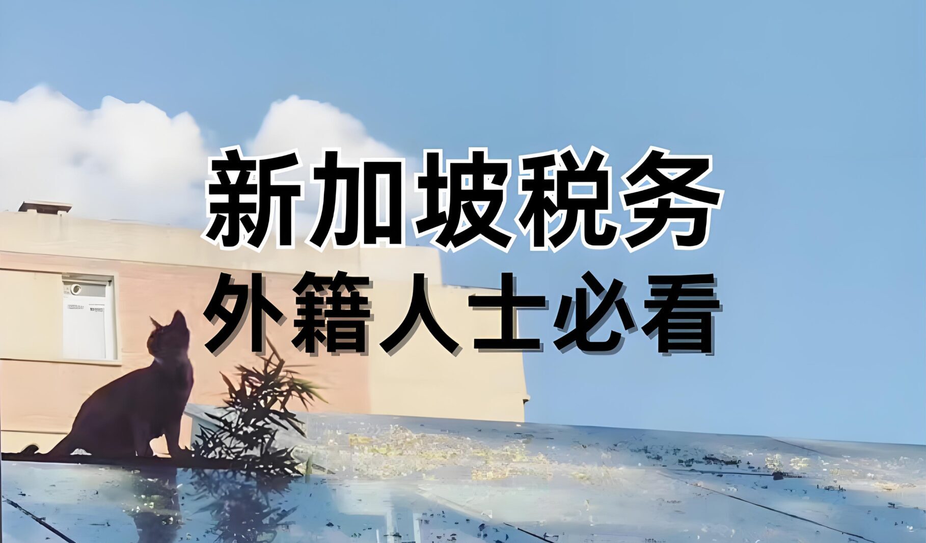 中国跨境卖家为何纷纷转向新加坡税务身份？实现避税与资产自由双赢- ingstart-全球公司成立与合规
