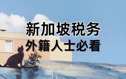 中国跨境卖家为何纷纷转向新加坡税务身份？实现避税与资产自由双赢