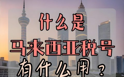 【2025最新】CRS信息交换怎么破？马来西亚税号合法避税全攻略