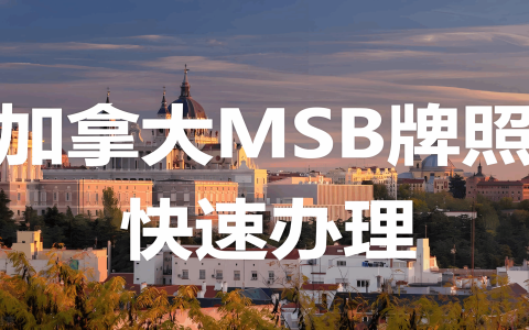 加拿大MSB牌照2025年新规：跨境电商、加密交易合规必备指南