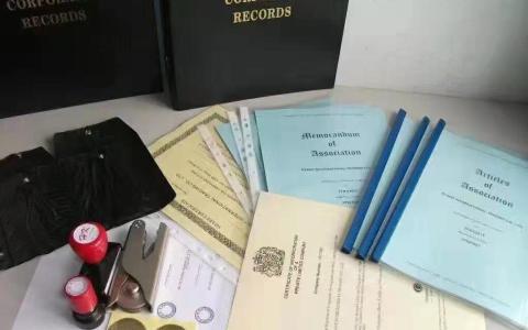 无门槛注册美国公司、Wise、开通Stripe收款账户，适合独立开发者的出海全流程指南！