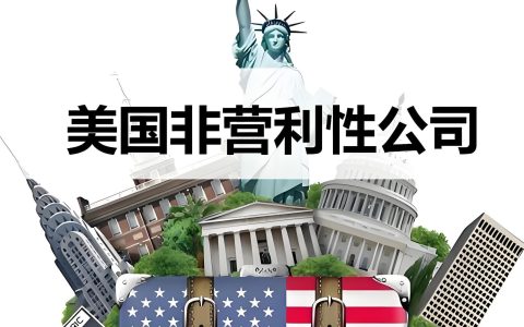 如何在美国注册非营利组织？从流程到IRS合规一文搞懂（2025版）