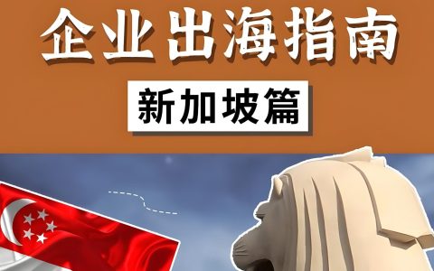 为什么中国企业都在用新加坡公司出海？最全政策+注册指南