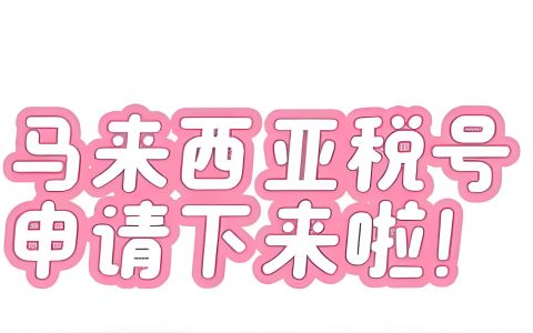 中国居民申请马来西亚税号【全流程】：CRS税务风险及七类人群应对指南