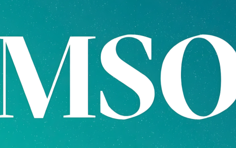 香港MSO牌照全攻略：中资企业跨境金融业务的合规金钥匙