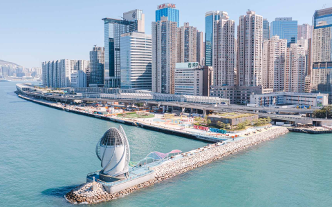 0门槛远程注册香港公司+开Stripe+绑定Wise，香港公司注册实操教程来了