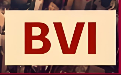 BVI公司注册全指南：费用、周期、合规政策及中国卖家优势 | 2025最新版