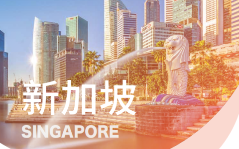 人在国内，轻松注册新加坡公司+远程开户+绑定Stripe/Wise收款教程来了！