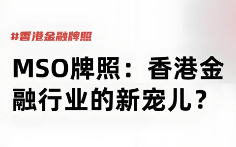 MSO牌照申请必读：注册地址规范要求与最新政策解读