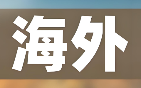2025海外公司注册全攻略：中国卖家的机遇与策略