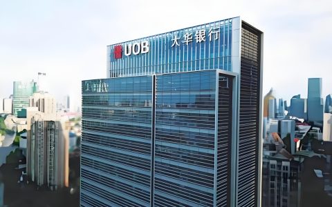 足不出户|开新加坡大华银行账户（UOB），多币种支持与跨境支付优势详解