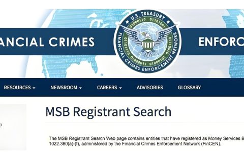 2025中国卖家必办美国MSB牌照指南：合规跨境支付/数字货币/ESG金融全攻略