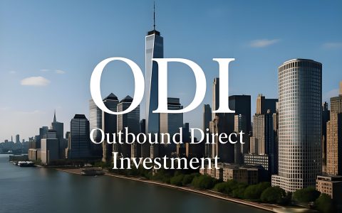 2025年中国企业ODI备案全指南：五大类型解析与合规策略