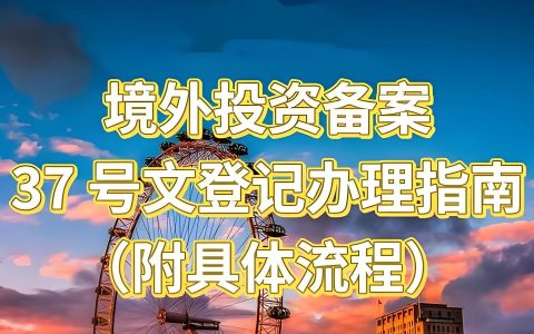 个人境外投资必办37号文备案解析：合规要点与操作流程全指南