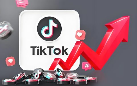 2025年TikTokShop美区电商上半年深度报告：上半年数据解析与趋势预测