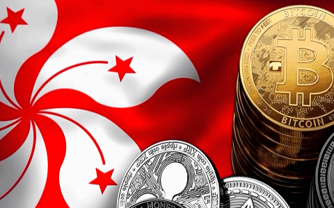 香港公司迁册制度全解析：申请条件、流程步骤与风险避坑指南（2025 最新）